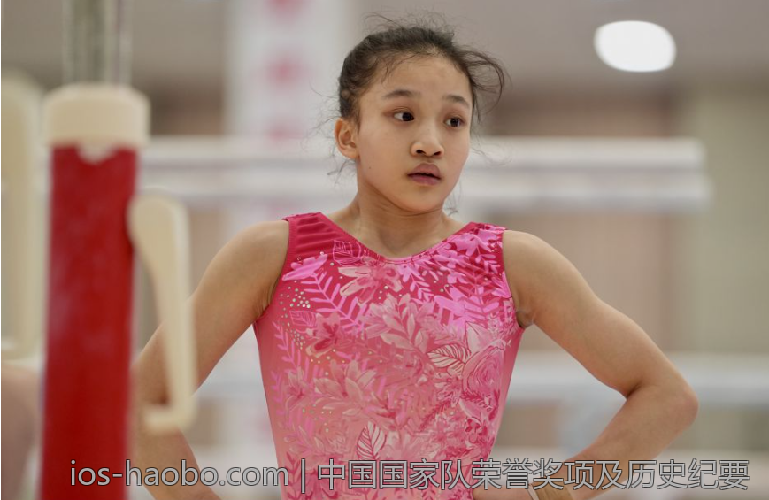 中国国家队荣誉奖项及历史纪要