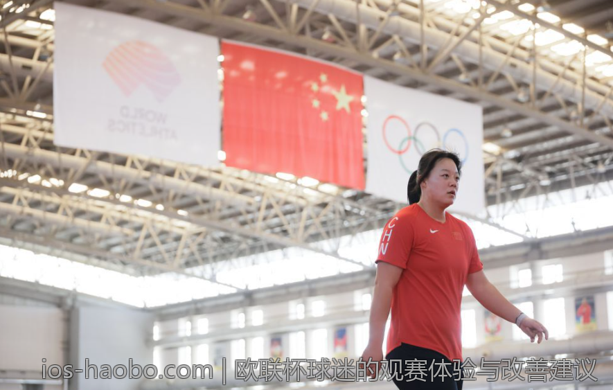 欧联杯球迷的观赛体验与改善建议