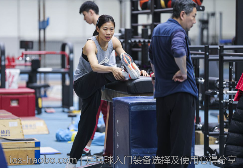 乒乓球入门装备选择及使用心得分享