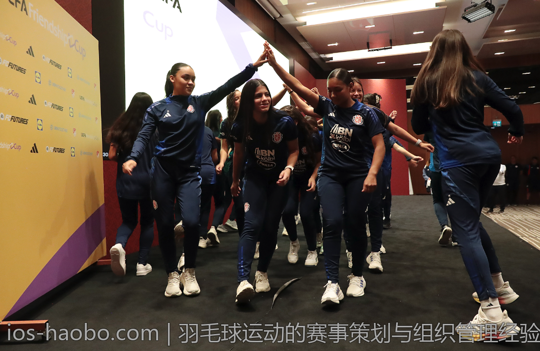 羽毛球运动的赛事策划与组织管理经验
